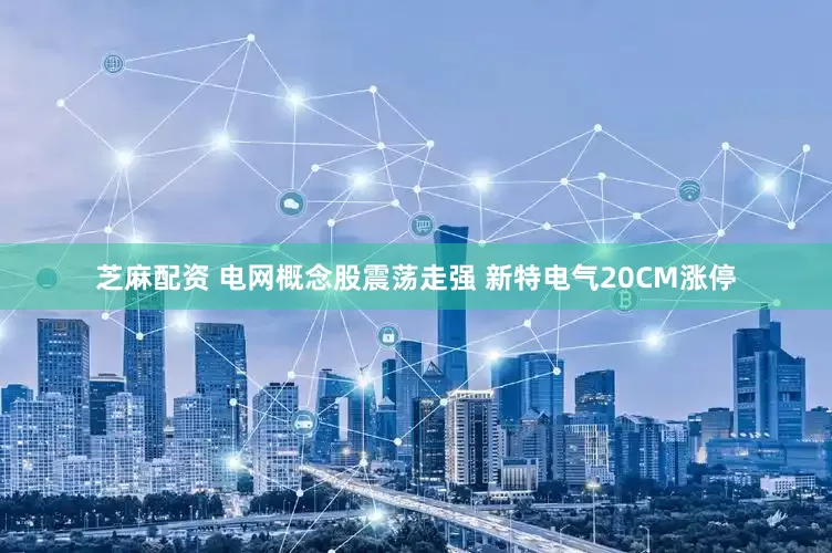 芝麻配资 电网概念股震荡走强 新特电气20CM涨停