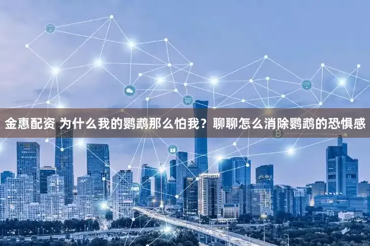 金惠配资 为什么我的鹦鹉那么怕我？聊聊怎么消除鹦鹉的恐惧感
